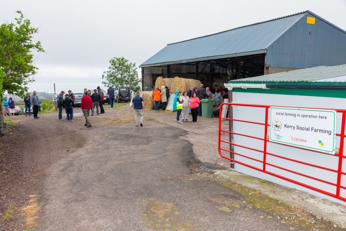 Kerry Social Farming